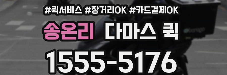 송온리 다마스 퀵