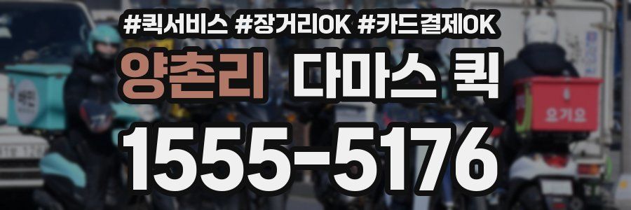 양촌리 다마스 퀵