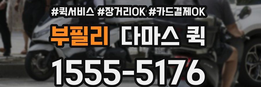 부필리 다마스 퀵