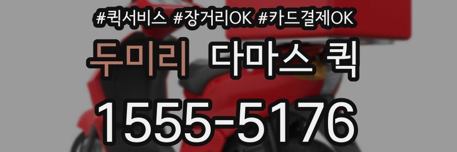 두미리 다마스 퀵