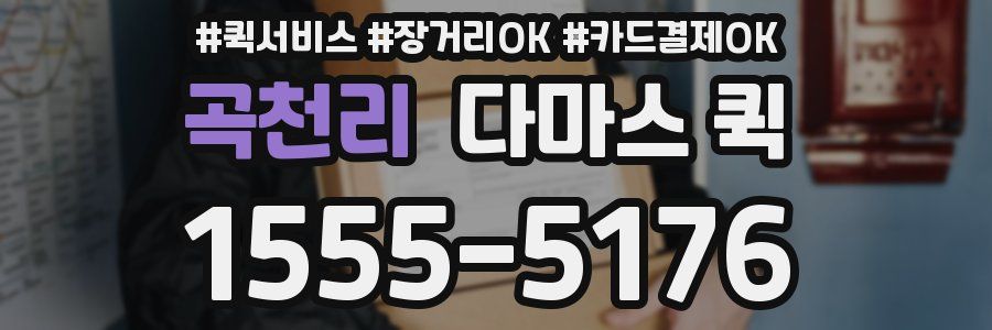 곡천리 다마스 퀵