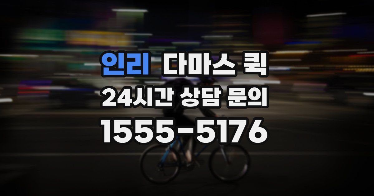 인리 다마스 퀵