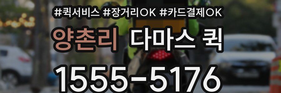 양촌리 다마스 퀵