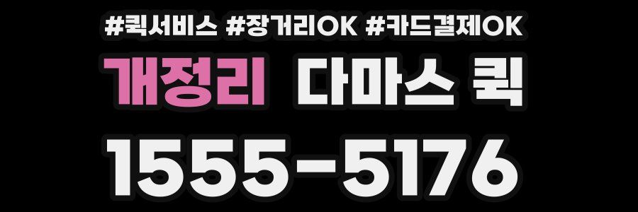 개정리 다마스 퀵