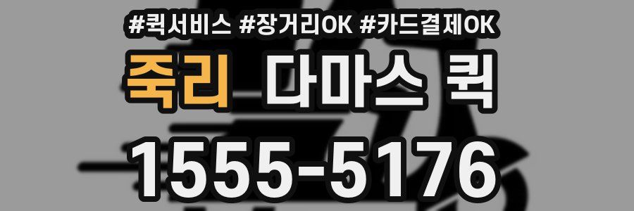 죽리 다마스 퀵