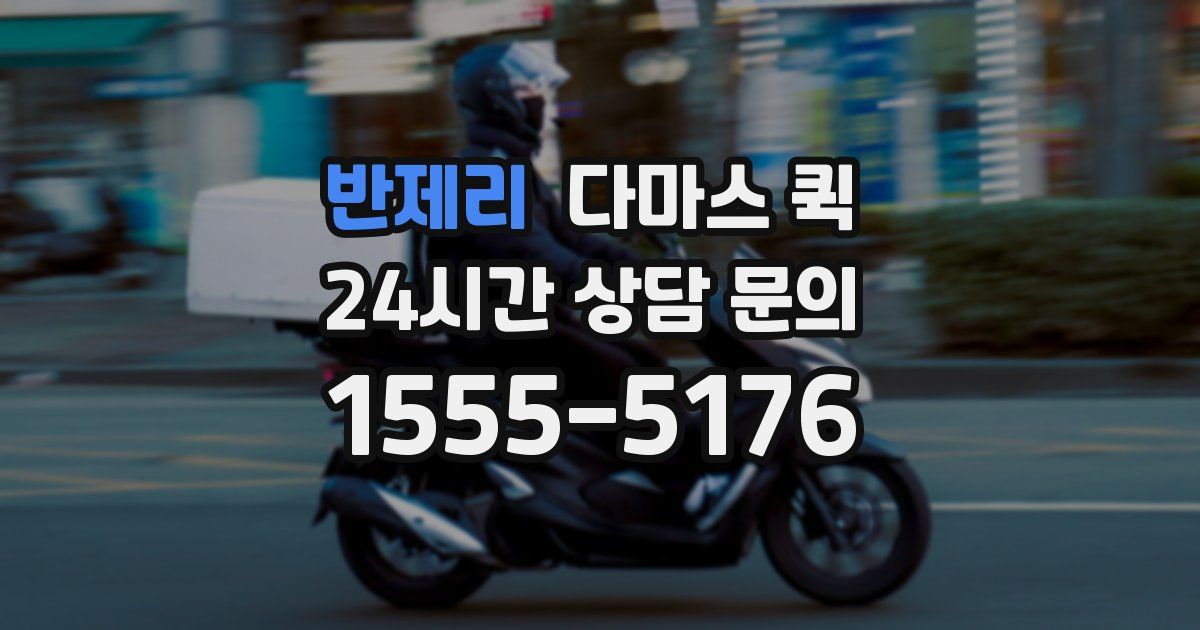 반제리 다마스 퀵