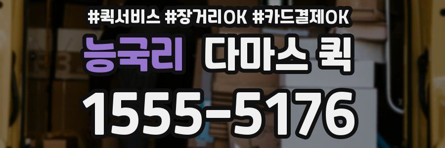 능국리 다마스 퀵