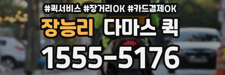 장능리 다마스 퀵