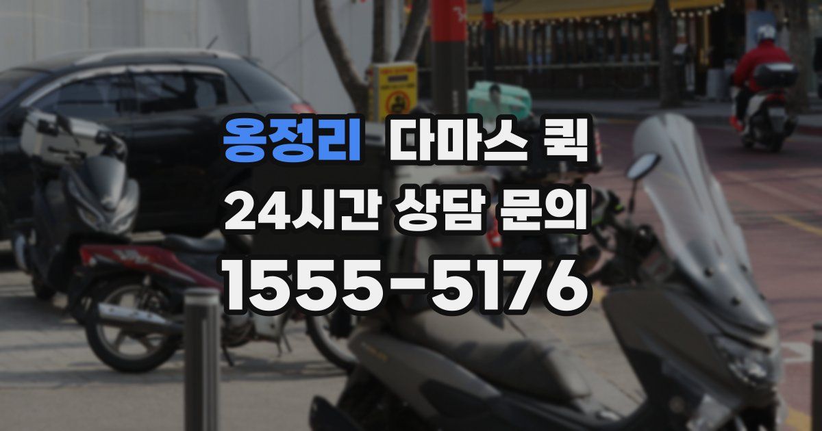 옹정리 다마스 퀵