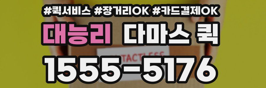 대능리 다마스 퀵