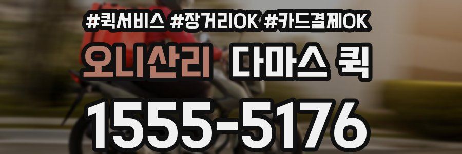 오니산리 다마스 퀵