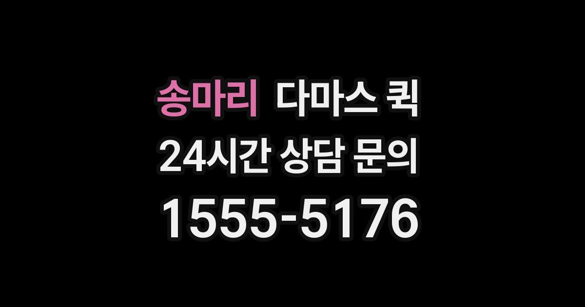 송마리 다마스 퀵