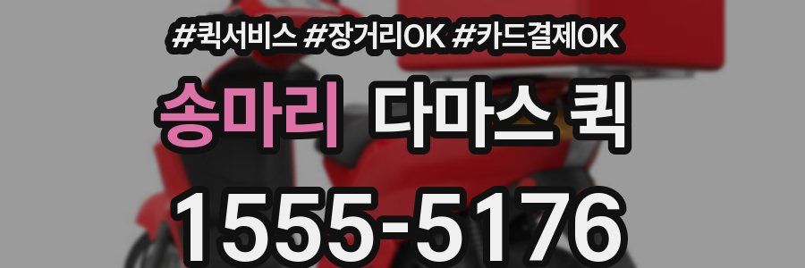 송마리 다마스 퀵