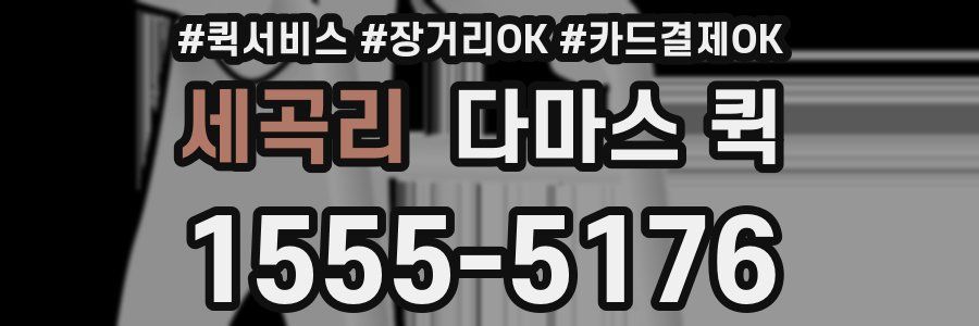 세곡리 다마스 퀵