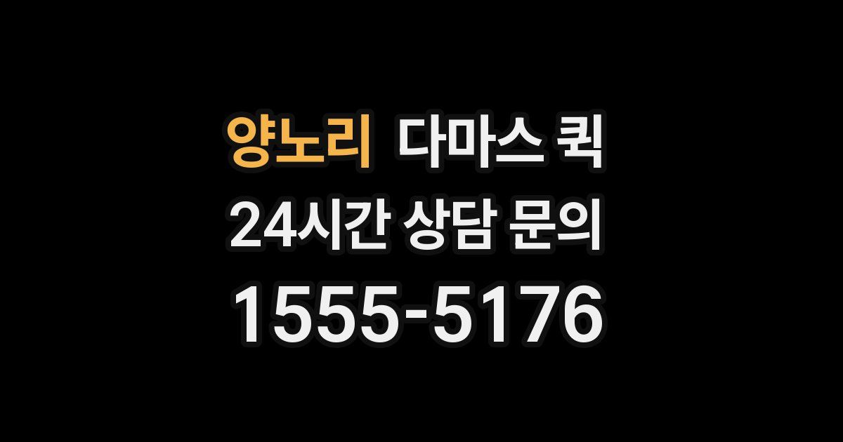 양노리 다마스 퀵