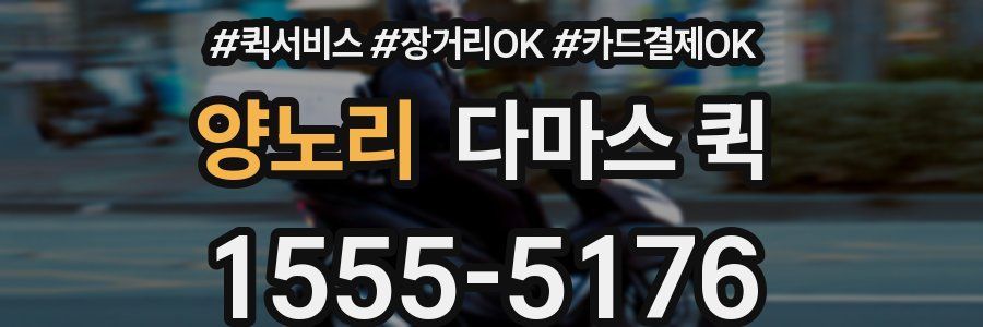 양노리 다마스 퀵