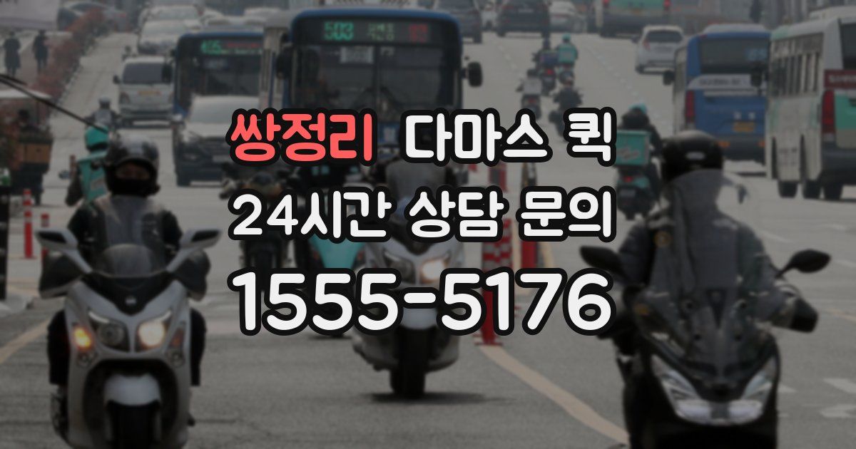 쌍정리 다마스 퀵