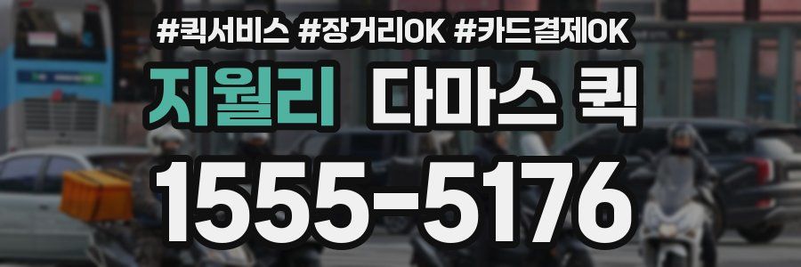 지월리 다마스 퀵