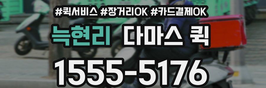 늑현리 다마스 퀵