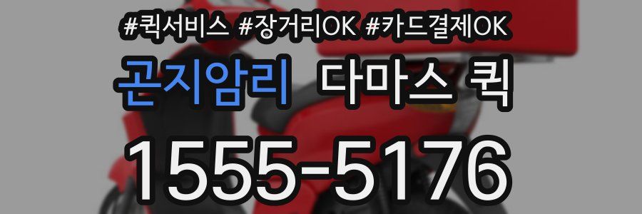 곤지암리 다마스 퀵