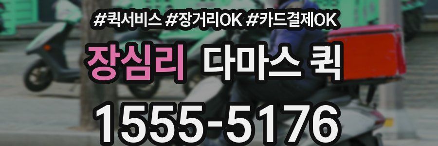 장심리 다마스 퀵