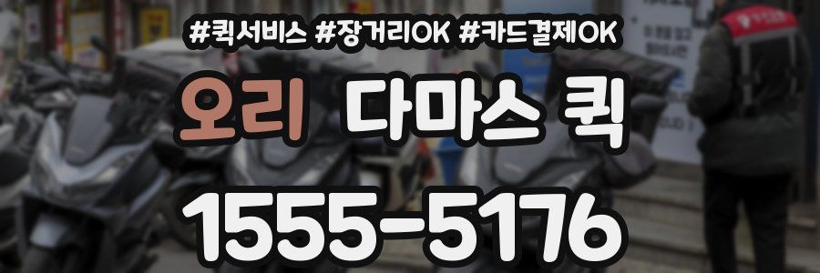 오리 다마스 퀵