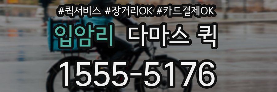 입암리 다마스 퀵