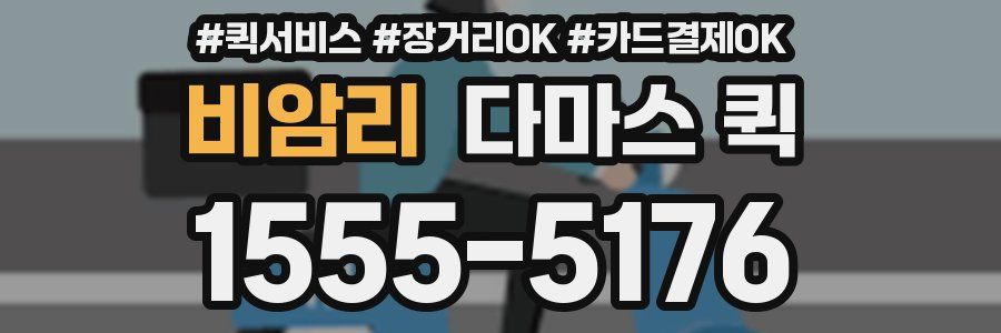 비암리 다마스 퀵