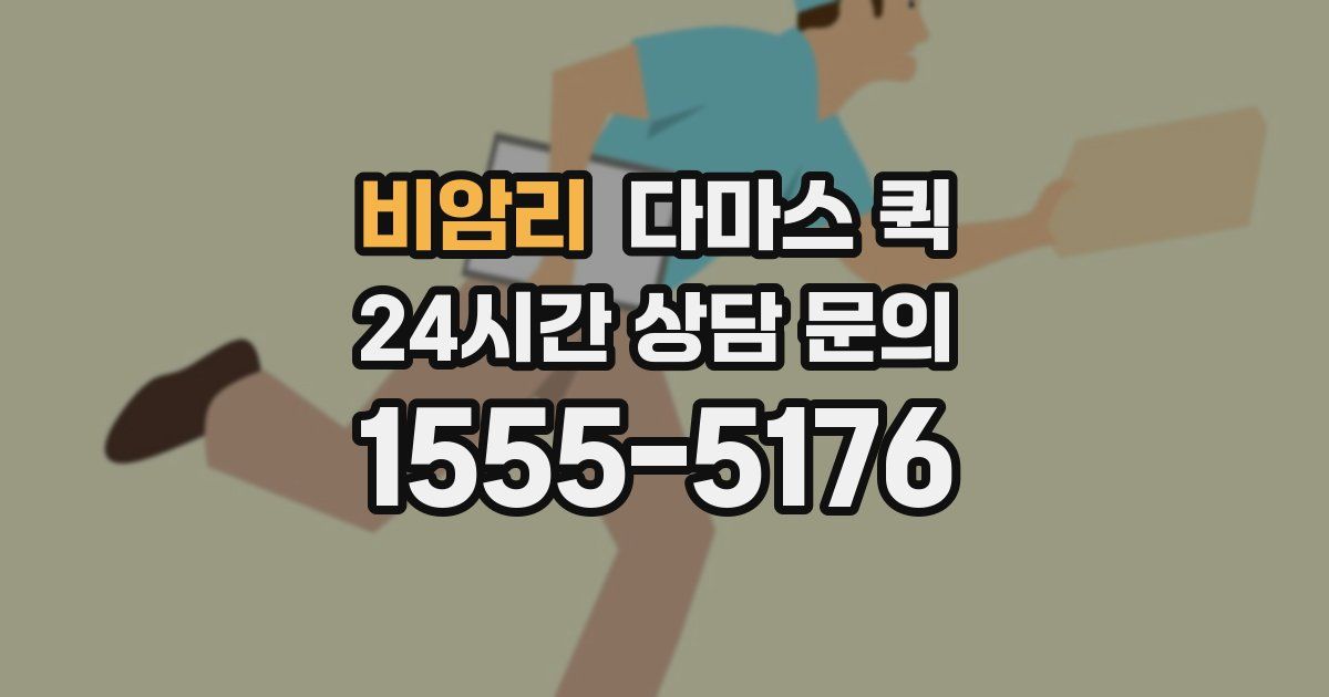 비암리 다마스 퀵