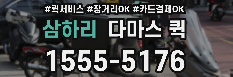 삼하리 다마스 퀵