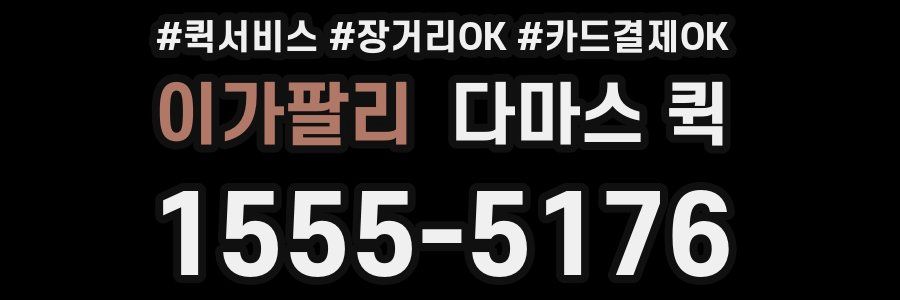 이가팔리 다마스 퀵