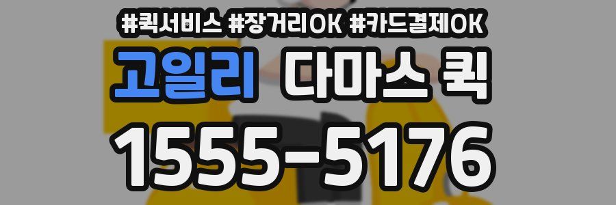 고일리 다마스 퀵