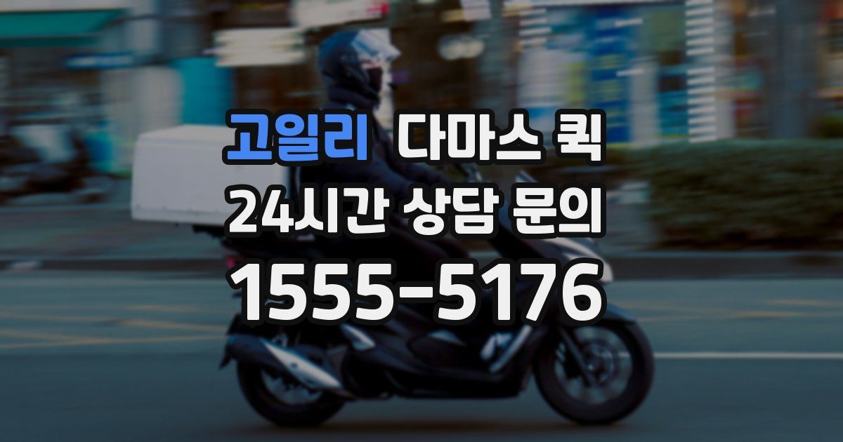 고일리 다마스 퀵