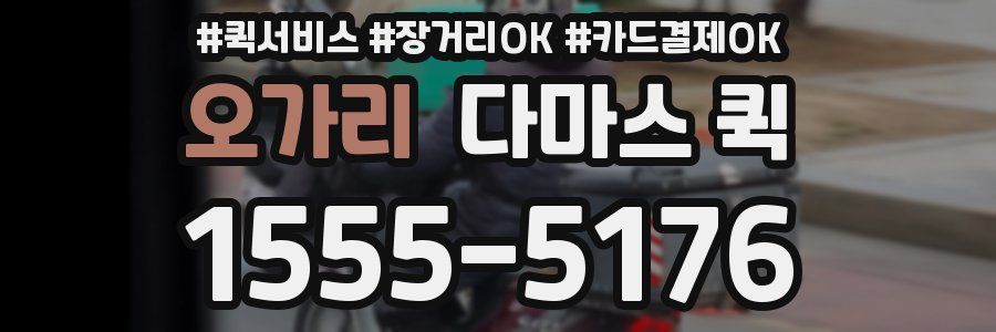 오가리 다마스 퀵