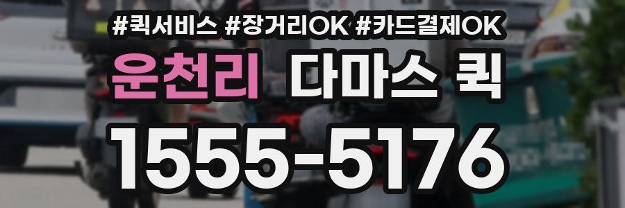 운천리 다마스 퀵