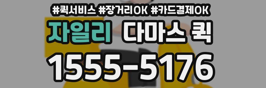 자일리 다마스 퀵