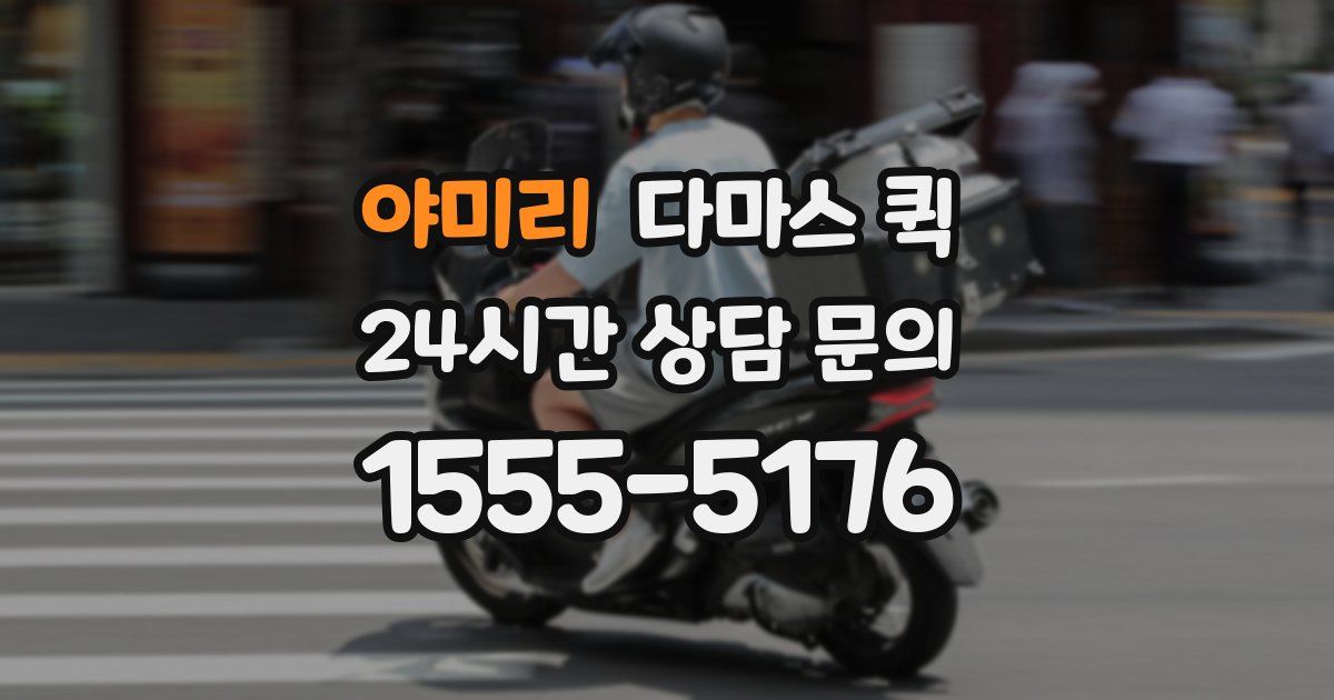 야미리 다마스 퀵