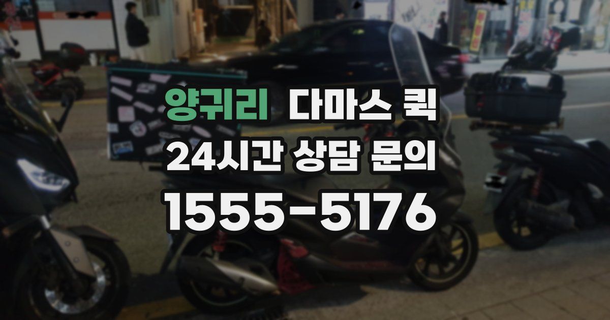 양귀리 다마스 퀵