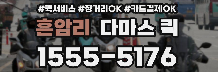 흔암리 다마스 퀵