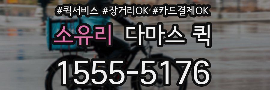 소유리 다마스 퀵