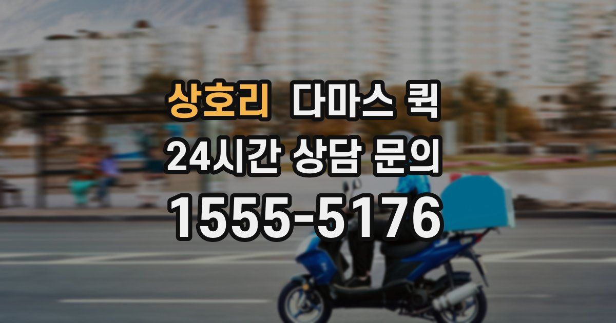 상호리 다마스 퀵