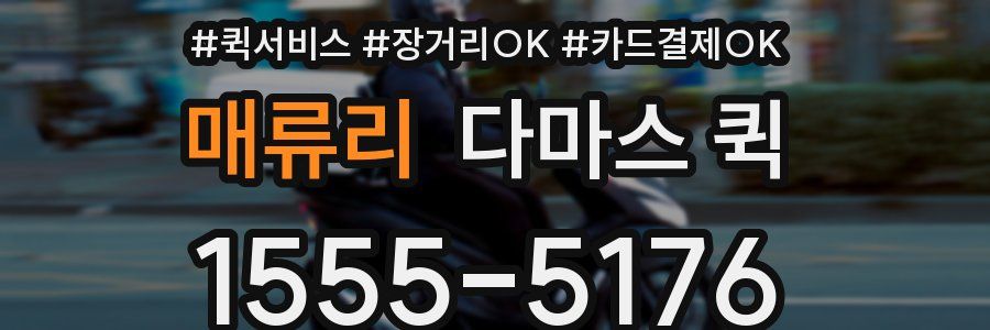 매류리 다마스 퀵