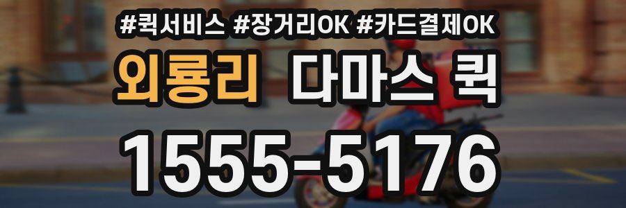 외룡리 다마스 퀵