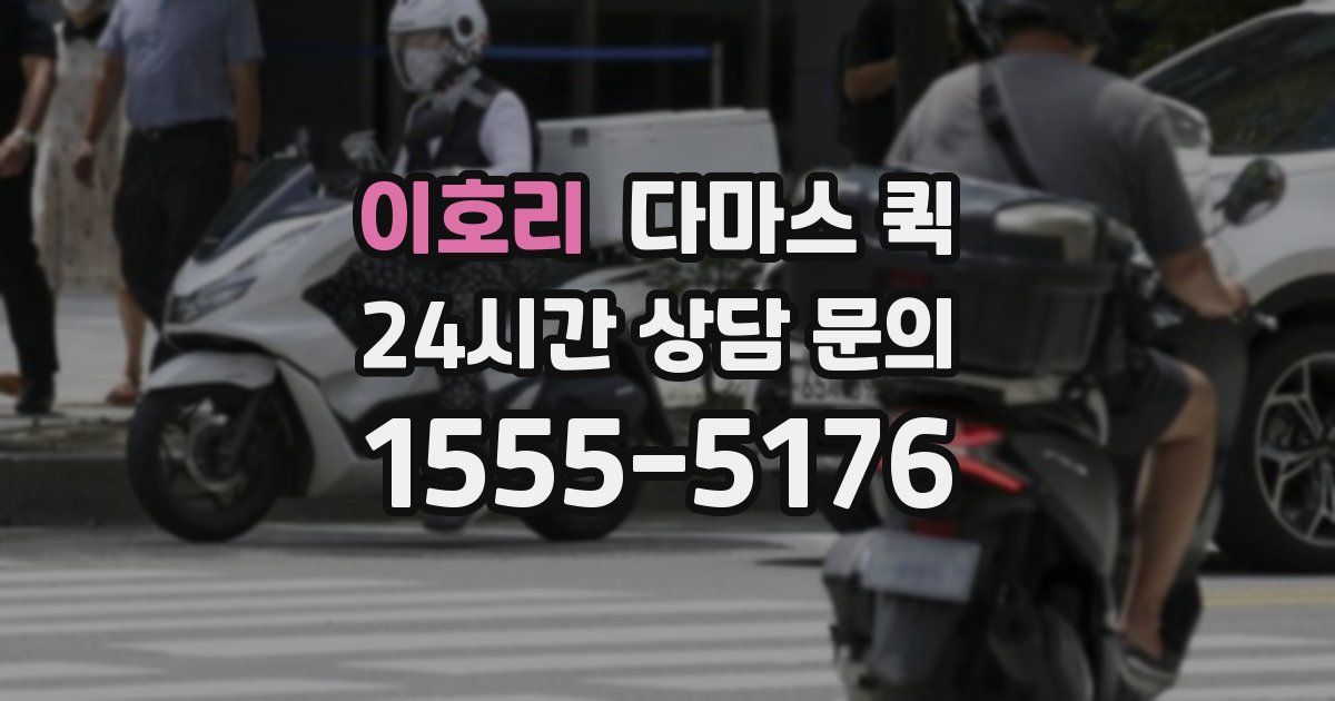 이호리 다마스 퀵