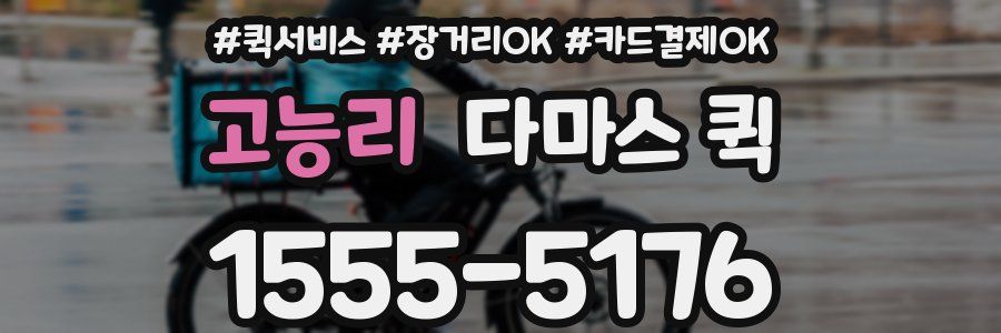 고능리 다마스 퀵