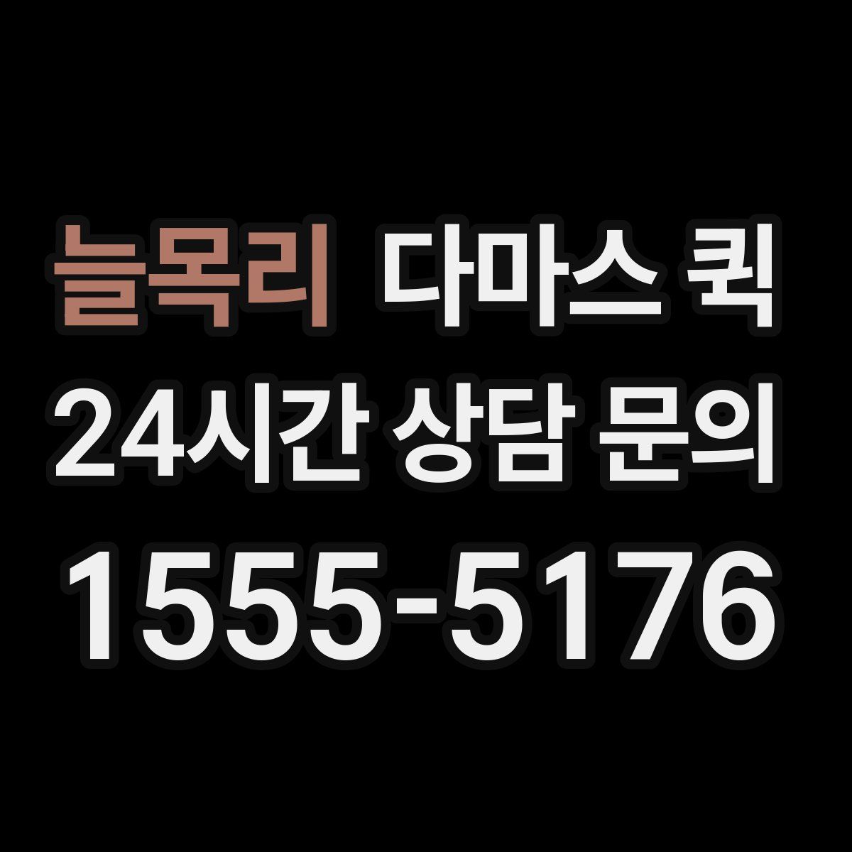 늘목리 다마스 퀵