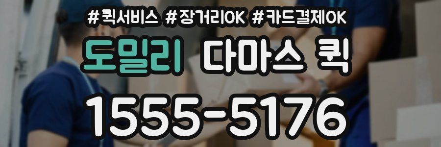 도밀리 다마스 퀵