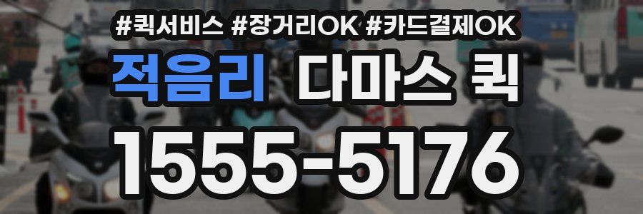 적음리 다마스 퀵