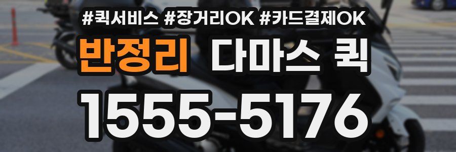 반정리 다마스 퀵