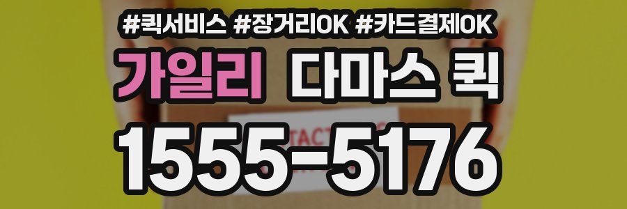 가일리 다마스 퀵